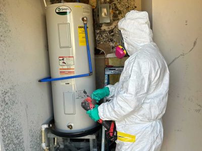Mold Remediation Service