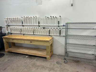 Mold Remediation Services