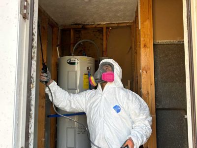 Mold Removal Remediation