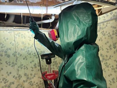 Mold Mitigation Services