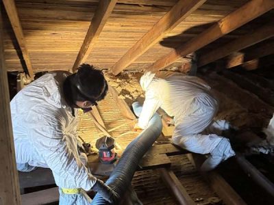Residential Asbestos Removal Services
